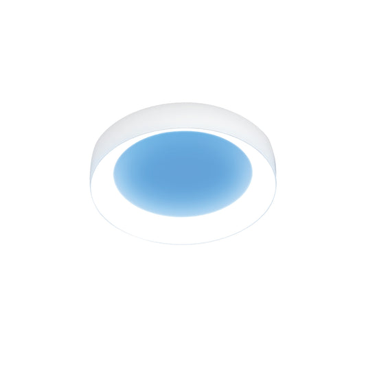 Vista 8-in Round Canless LED Skylight